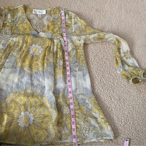 Julie Brown Silk sheer V-Neck Tunic - Sz 2 - Picture 14 of 15